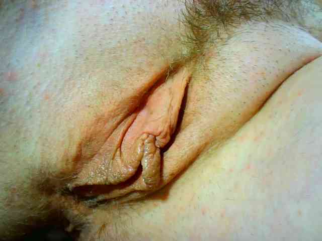 Xollan webcam