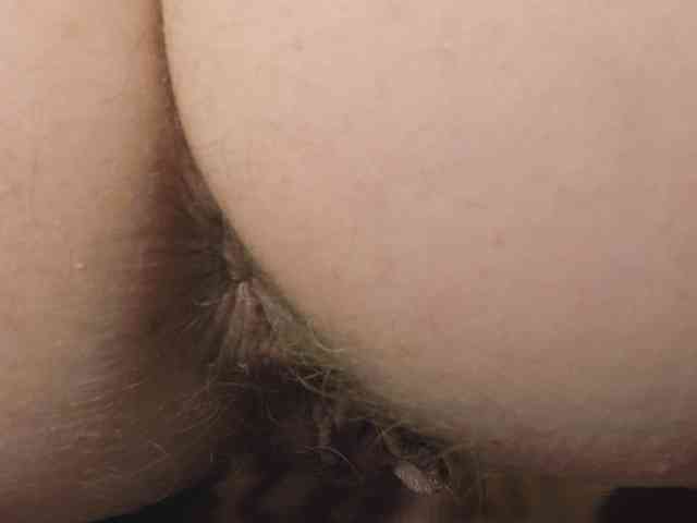 Xollan webcam