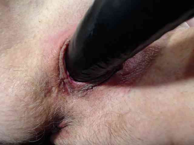 Xollan webcam