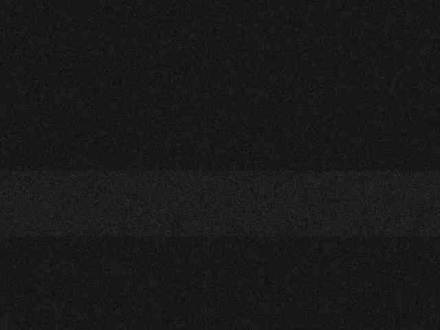 Xollan webcam
