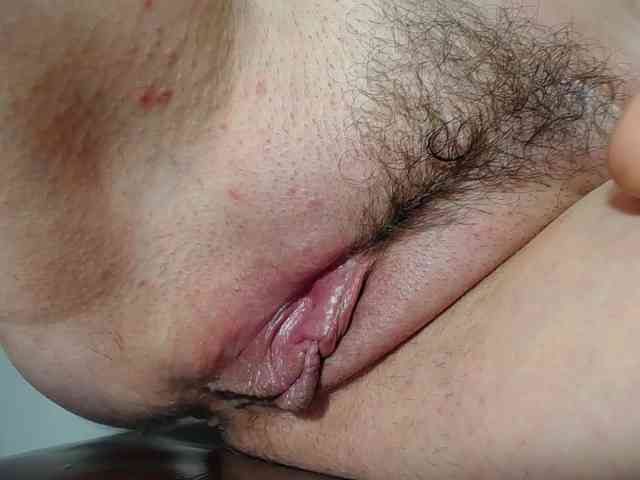 Xollan webcam