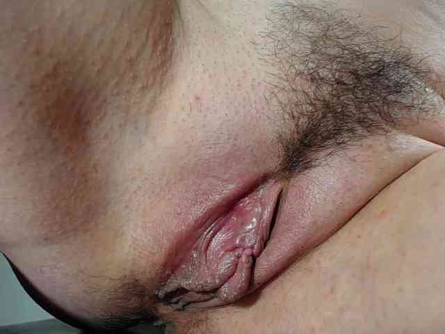 Xollan webcam