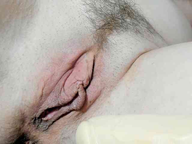 Xollan webcam