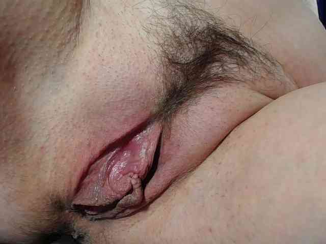 Xollan webcam