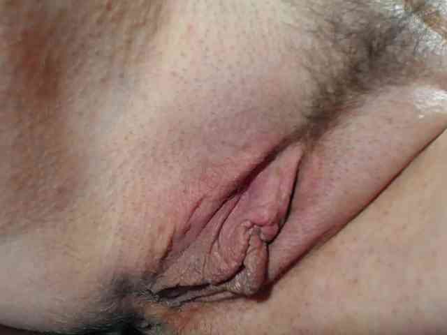 Xollan