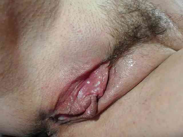 Xollan