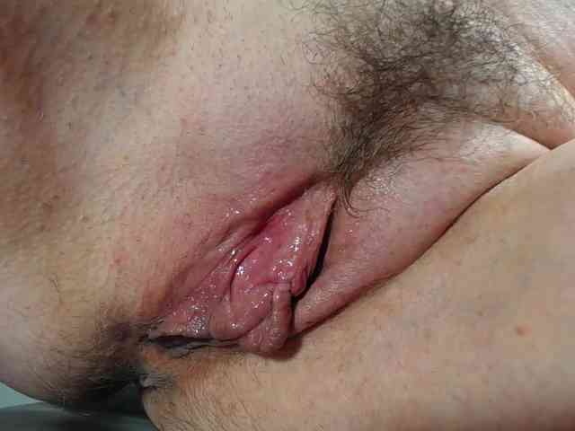 Xollan Xollan