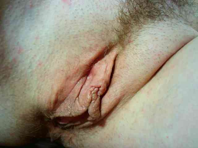 Xollan webcam