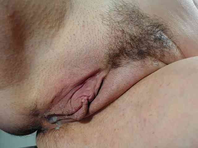 Xollan webcam