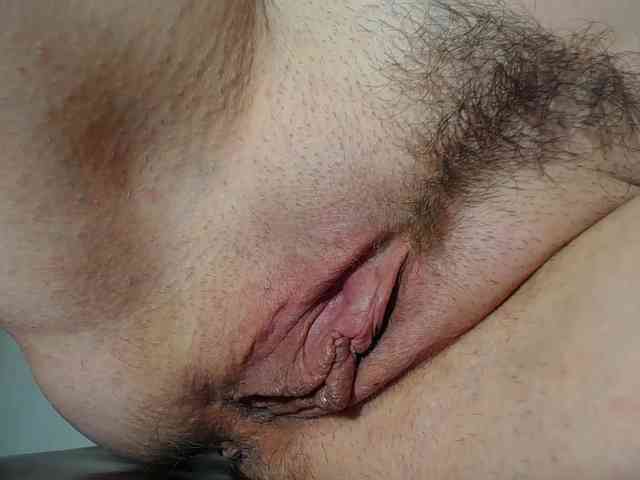 Xollan webcam