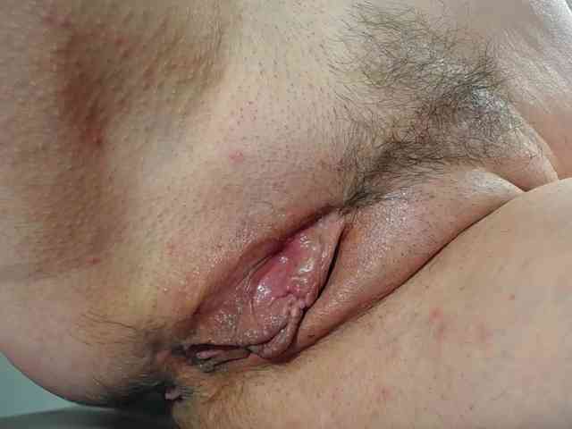 Xollan webcam