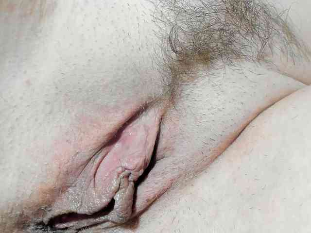 Xollan webcam