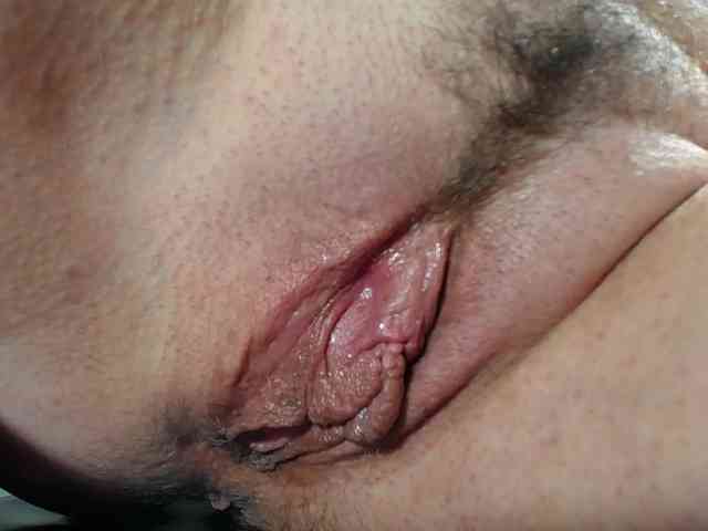 Xollan webcam