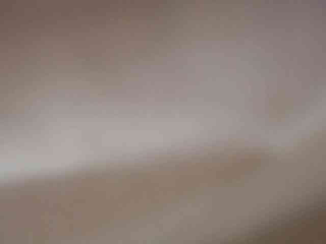 Xollan webcam