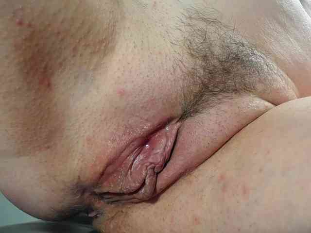 Xollan webcam