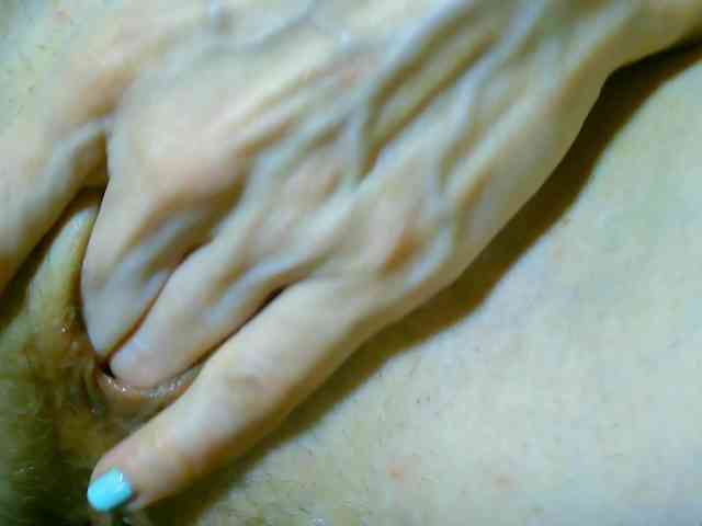 Xollan webcam
