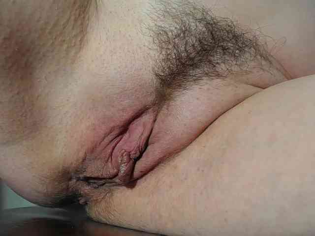 Xollan webcam