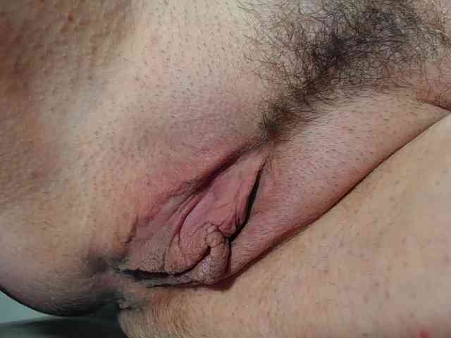 Xollan Xollan