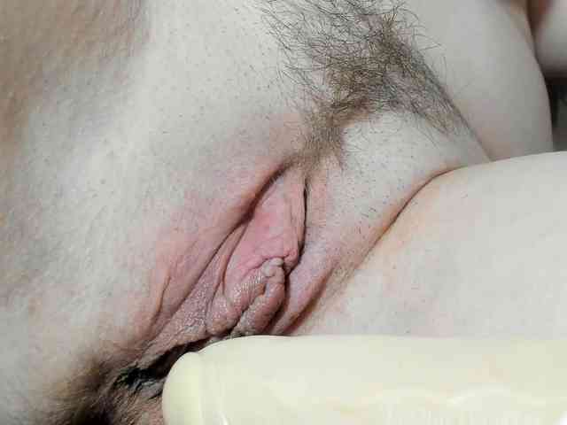 Xollan webcam