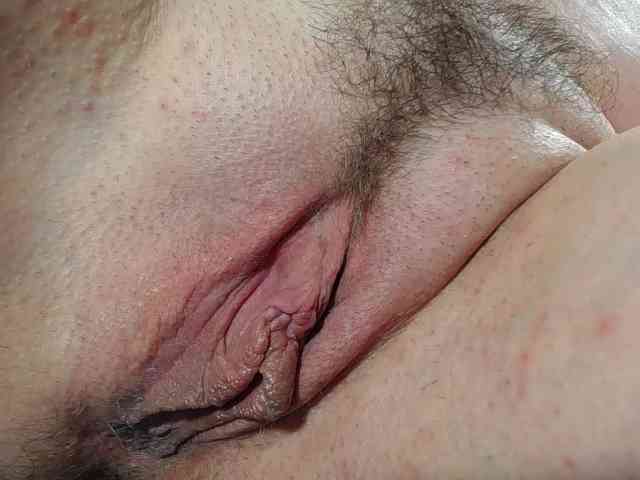 Xollan