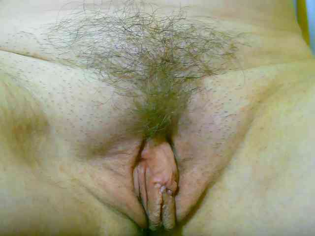 Xollan webcam