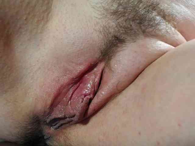 Model: Xollan