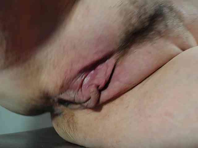 Xollan webcam