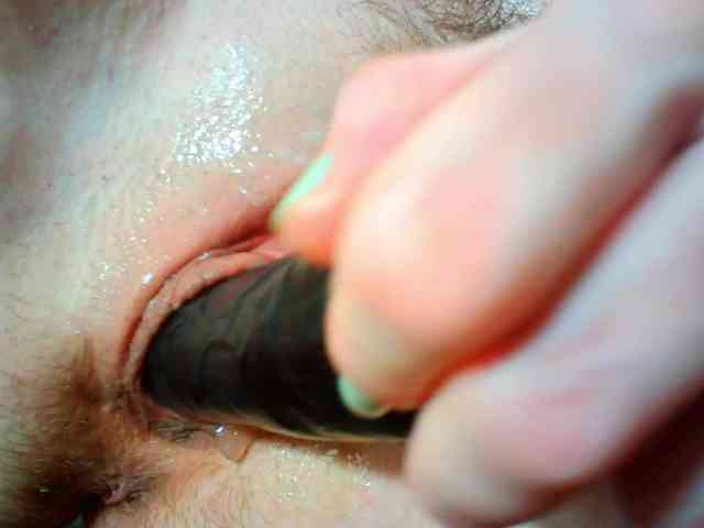 Xollan webcam