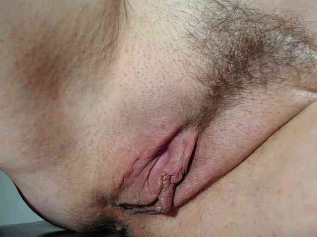 Xollan webcam