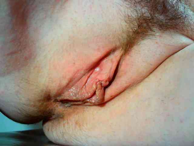 Xollan webcam