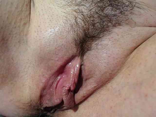 Xollan webcam