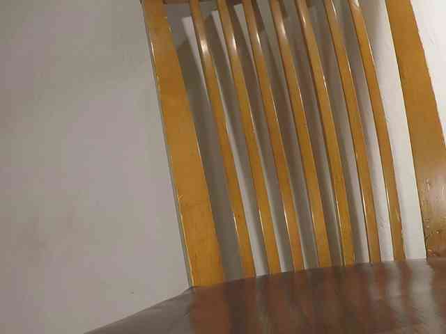 Xollan webcam
