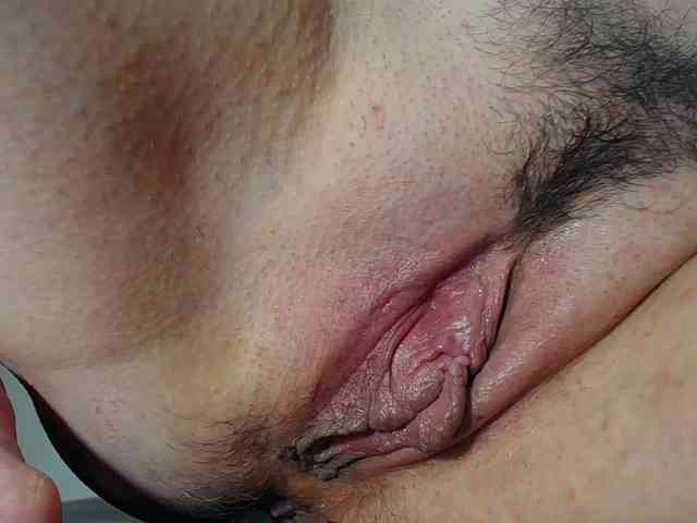 Xollan webcam