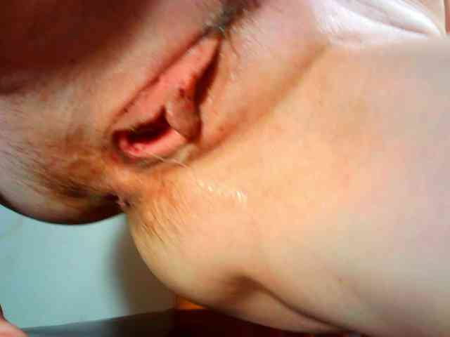 Xollan webcam