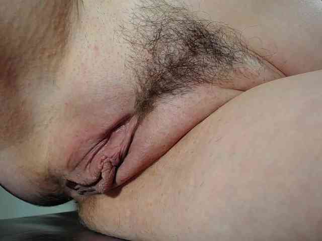 Model: Xollan