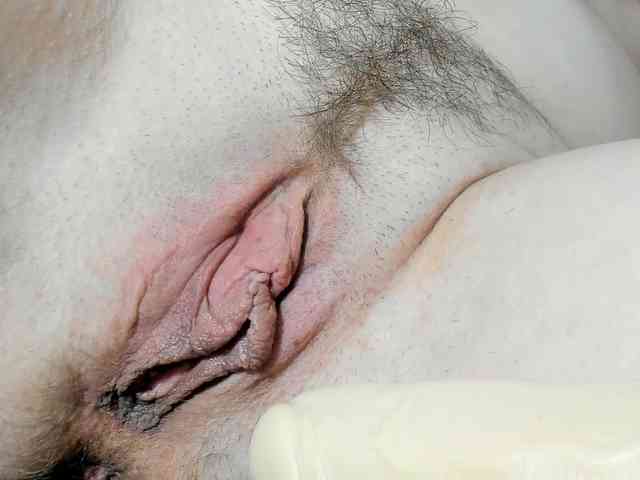 Xollan webcam
