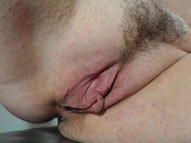 Xollan webcam