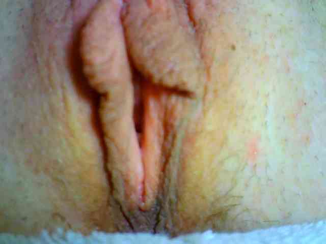 Xollan webcam