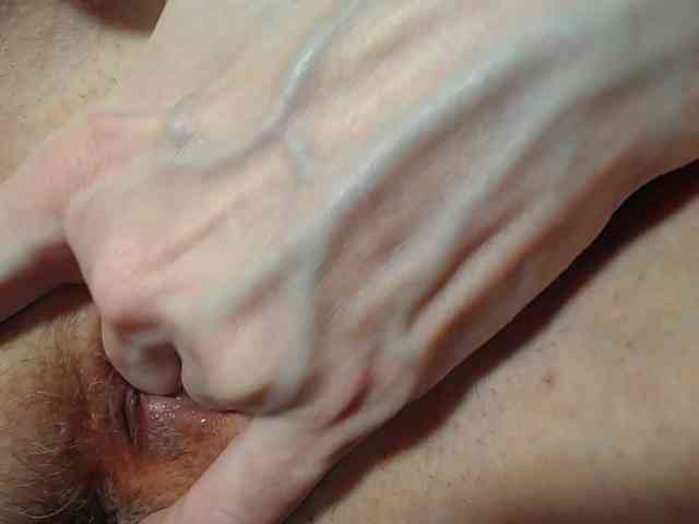 Model: Xollan