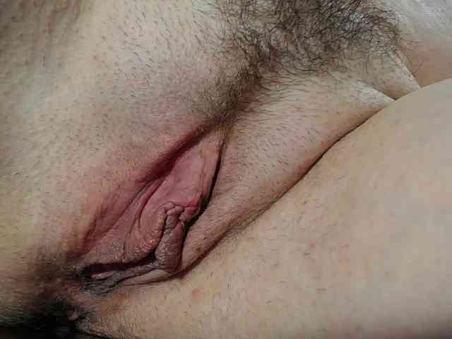 Xollan webcam