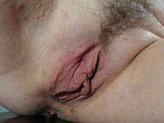 Xollan webcam