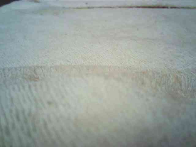 Xollan