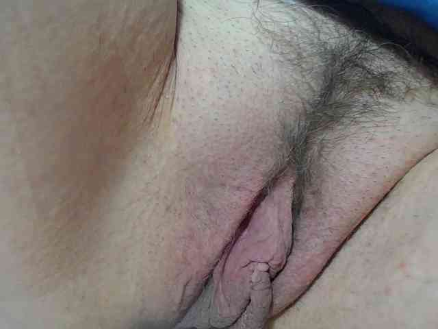 Xollan webcam