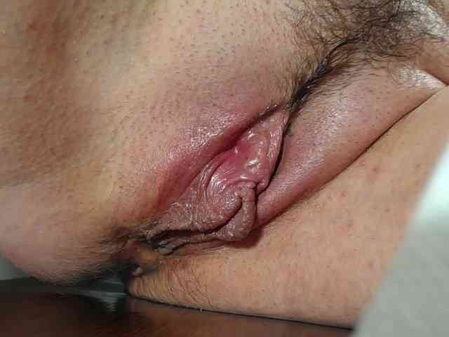 Xollan webcam