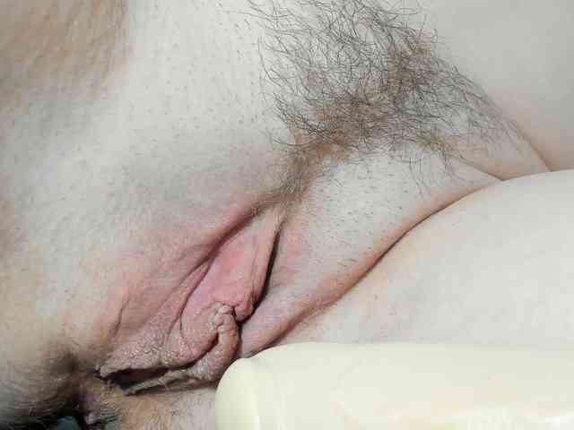Xollan webcam