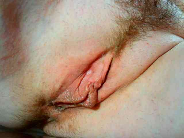 Xollan webcam