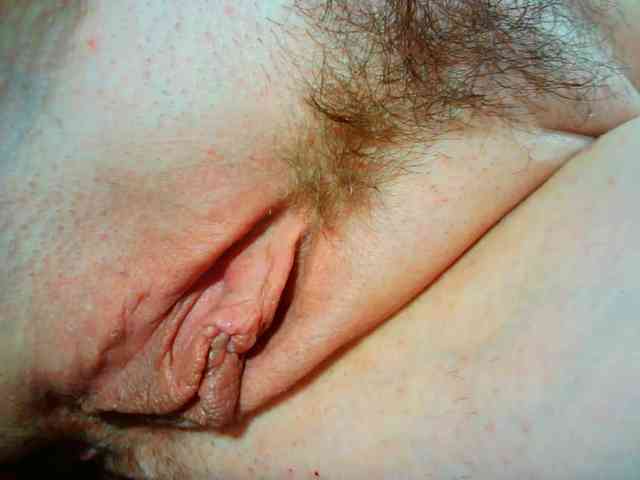 Model: Xollan