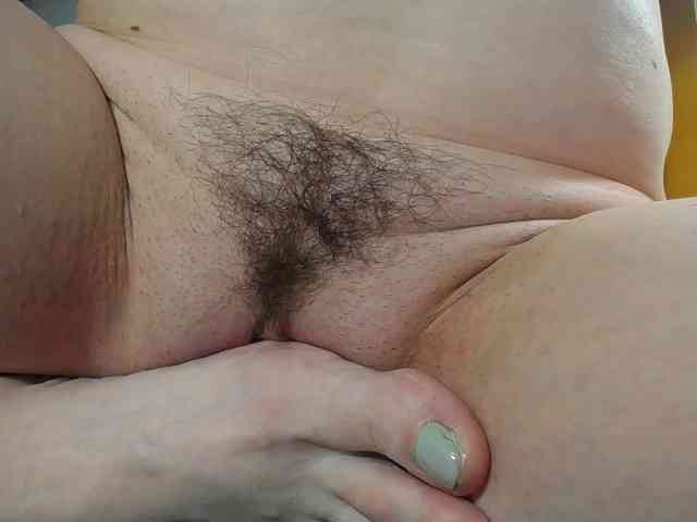 Xollan webcam