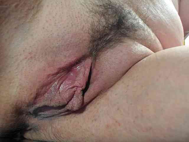 Xollan webcam