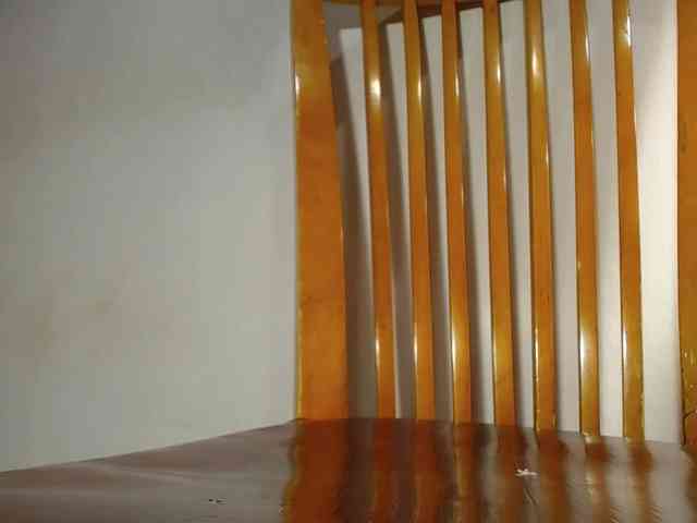Xollan webcam